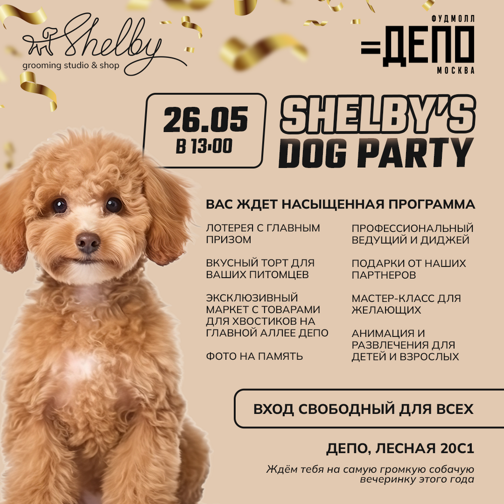 SHELBY'S DOG PARTY