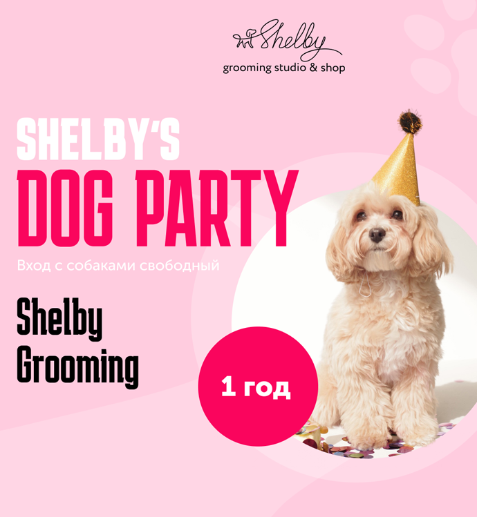 Shelby's Dog Party